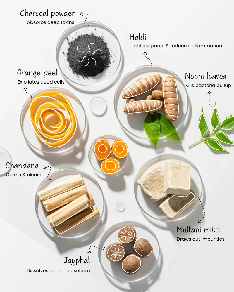 Illustration of various natural ingredients used in Yesterday Charcoal Face Pack with their skin care benefits